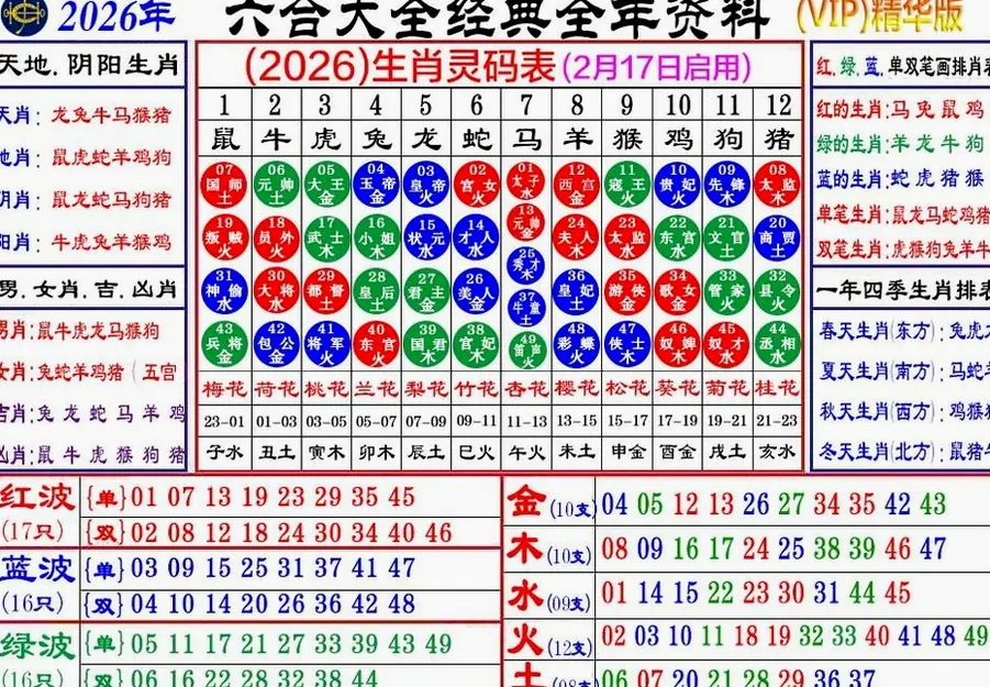 王中王 图3